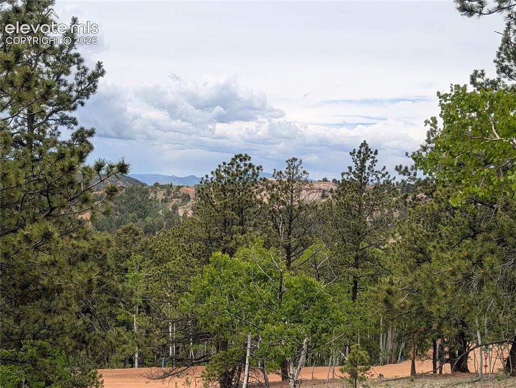 16 Princess Lane Cripple Creek CO 80813