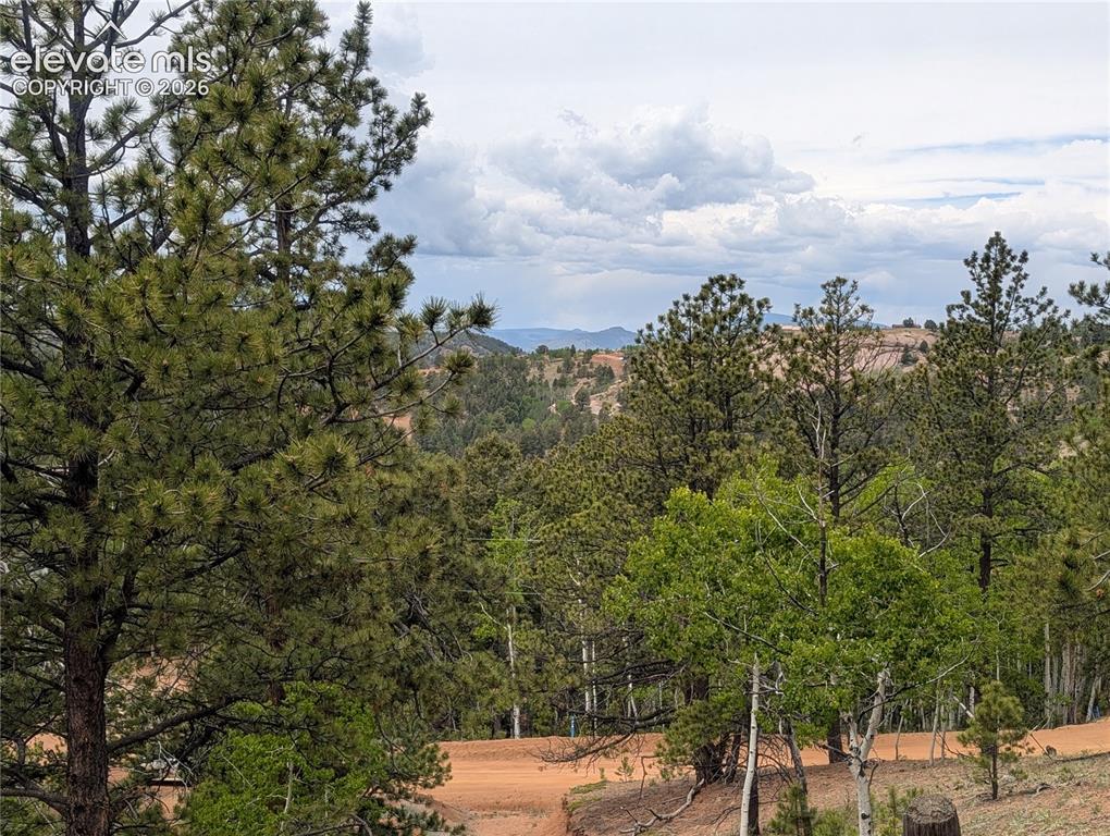 16 Princess Lane Cripple Creek CO 80813