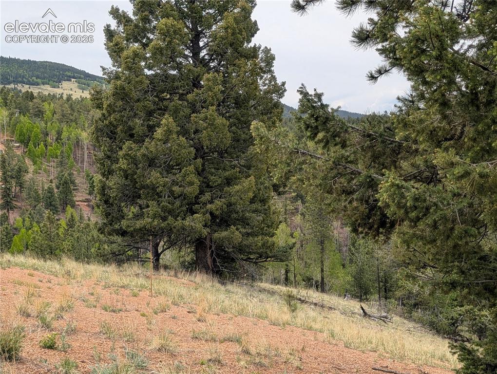 16 Princess Lane Cripple Creek CO 80813