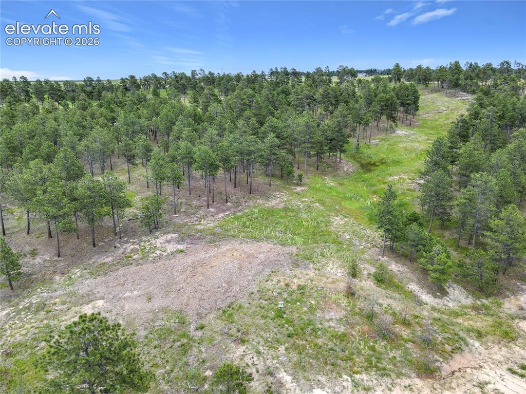 14863 Bourbon Court Colorado Springs CO 80908