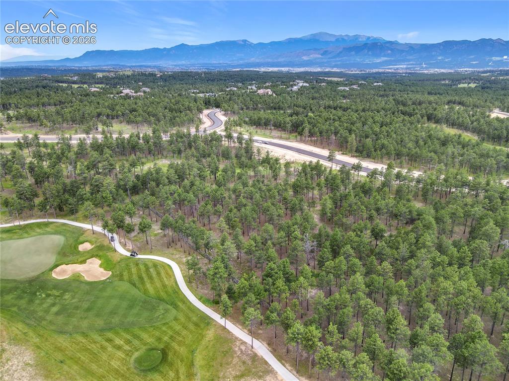 14863 Bourbon Court Colorado Springs CO 80908