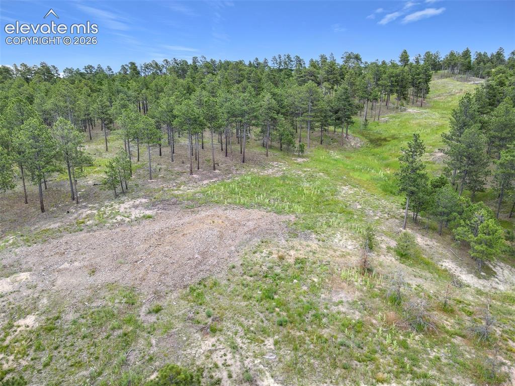 14863 Bourbon Court Colorado Springs CO 80908