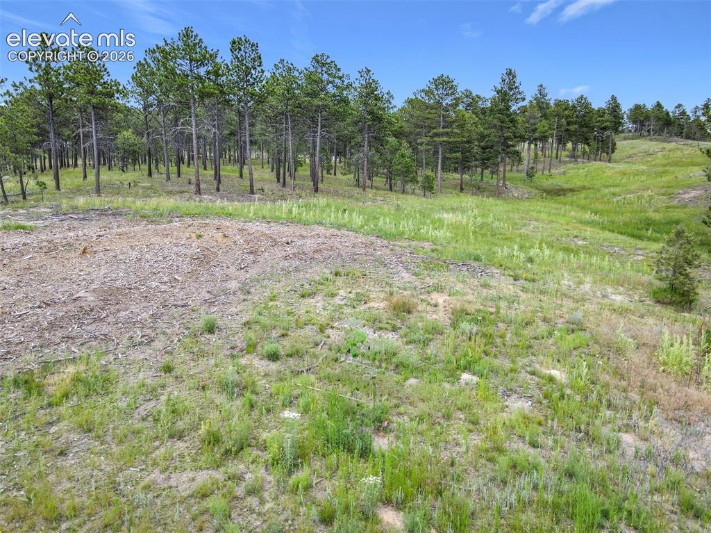 14863 Bourbon Court Colorado Springs CO 80908