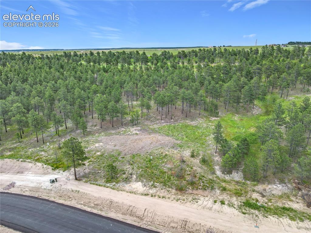 14863 Bourbon Court Colorado Springs CO 80908