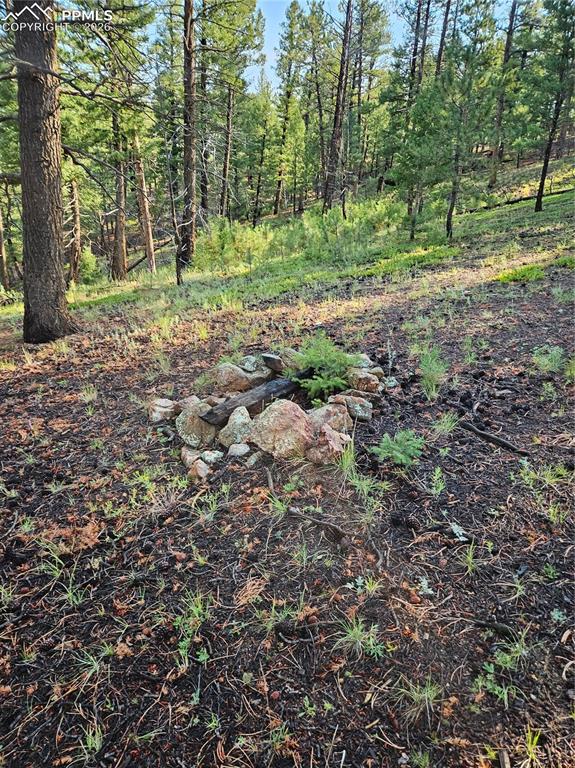 1117 Appleby Drive Sedalia CO 80135