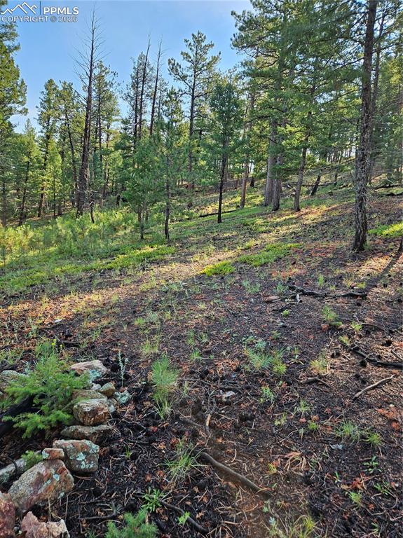 1117 Appleby Drive Sedalia CO 80135