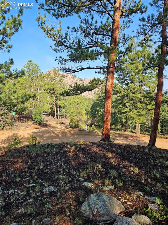 1117 Appleby Drive Sedalia CO 80135