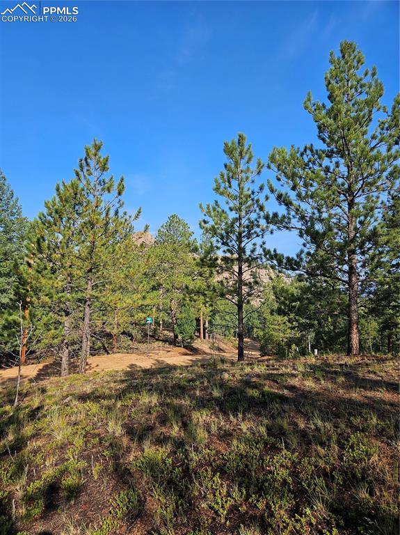 1117 Appleby Drive Sedalia CO 80135