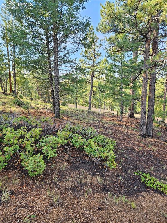 1117 Appleby Drive Sedalia CO 80135