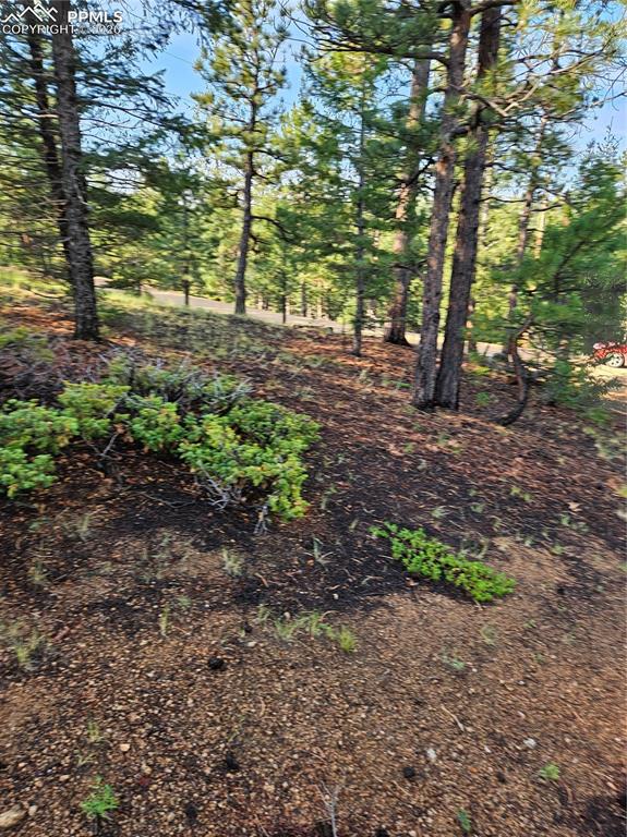 1117 Appleby Drive Sedalia CO 80135