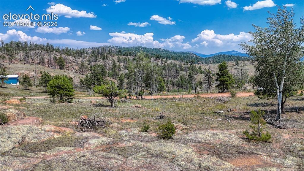 617 Chateau Vista Florissant CO 80816
