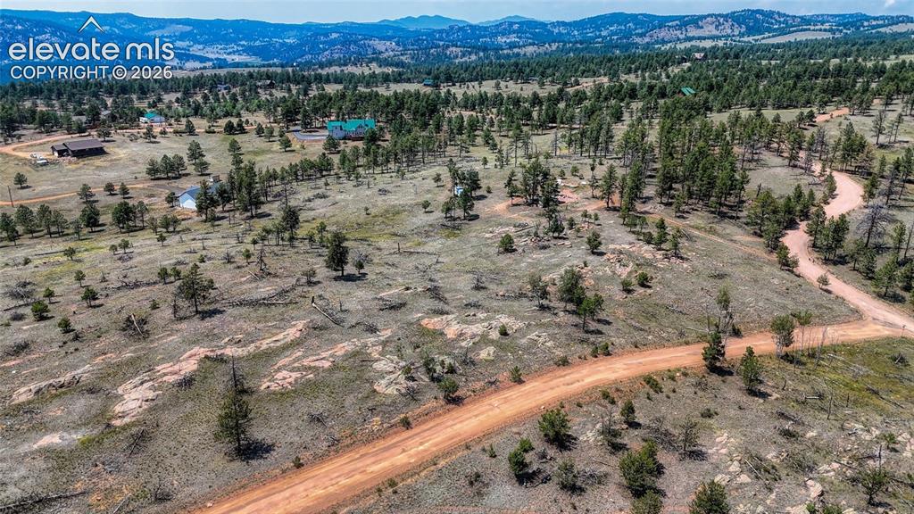 617 Chateau Vista Florissant CO 80816