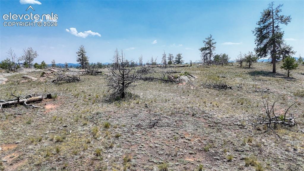 617 Chateau Vista Florissant CO 80816