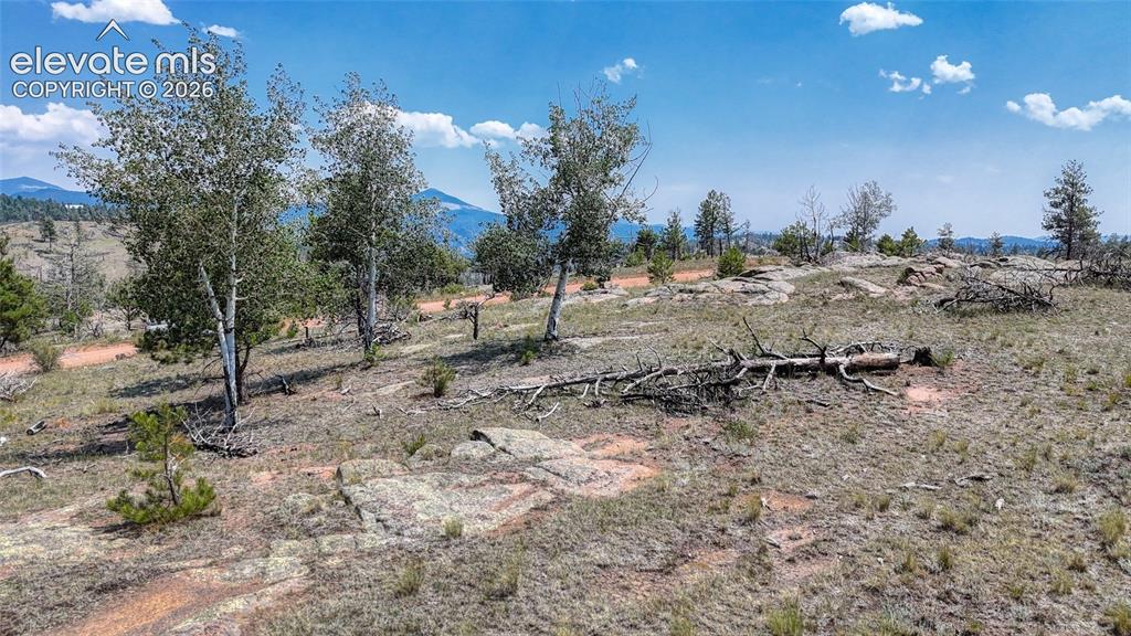 617 Chateau Vista Florissant CO 80816
