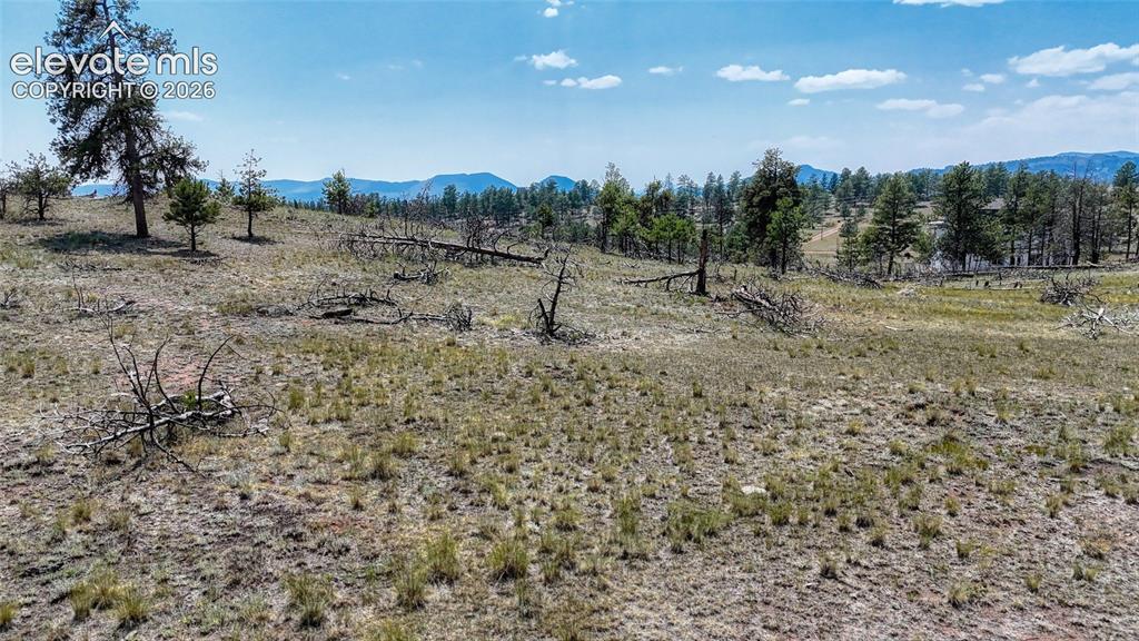 617 Chateau Vista Florissant CO 80816