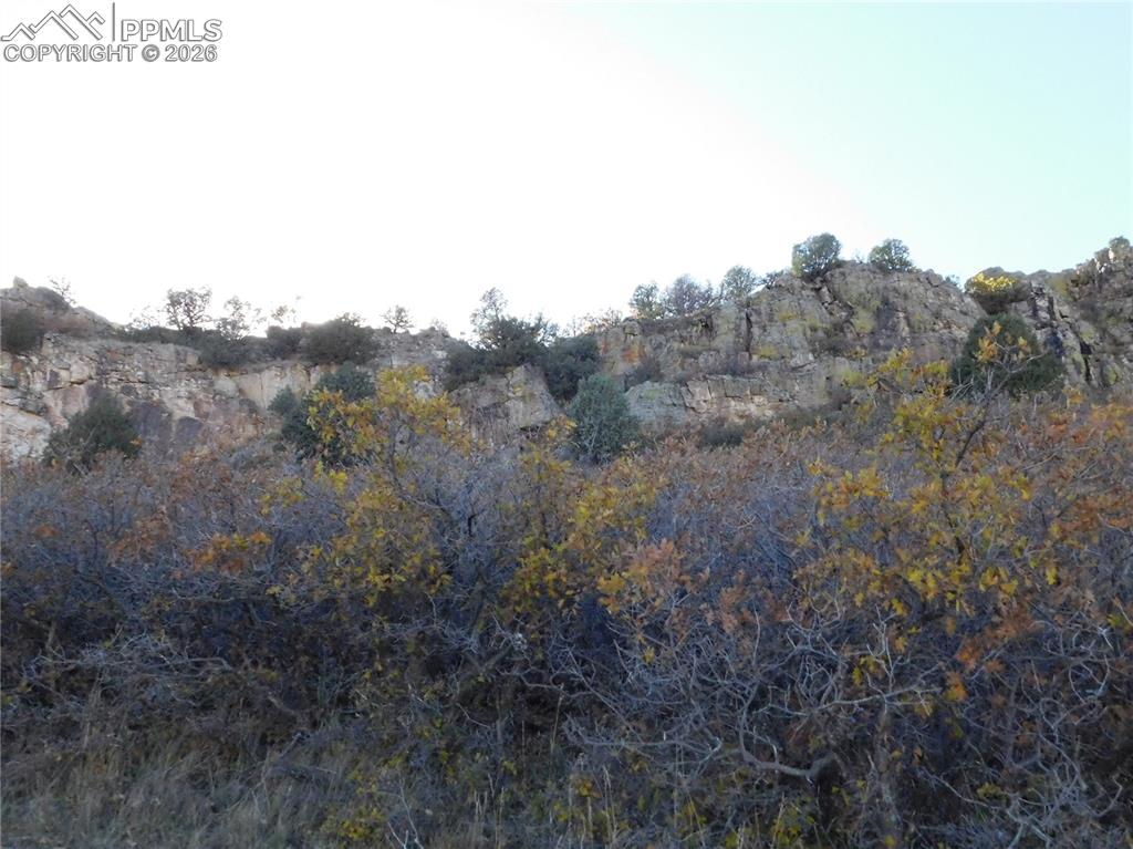 5498 Country Club Drive Larkspur CO 80118