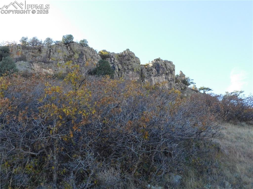 5498 Country Club Drive Larkspur CO 80118