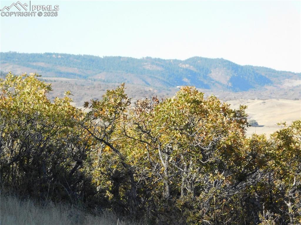 5498 Country Club Drive Larkspur CO 80118