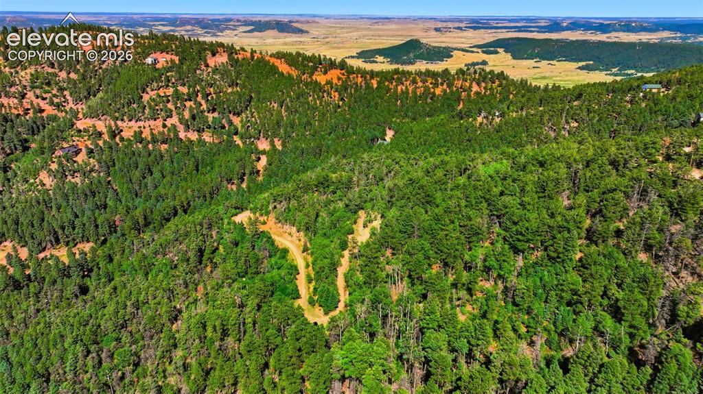 13464 S Firedog Way Larkspur CO 80118