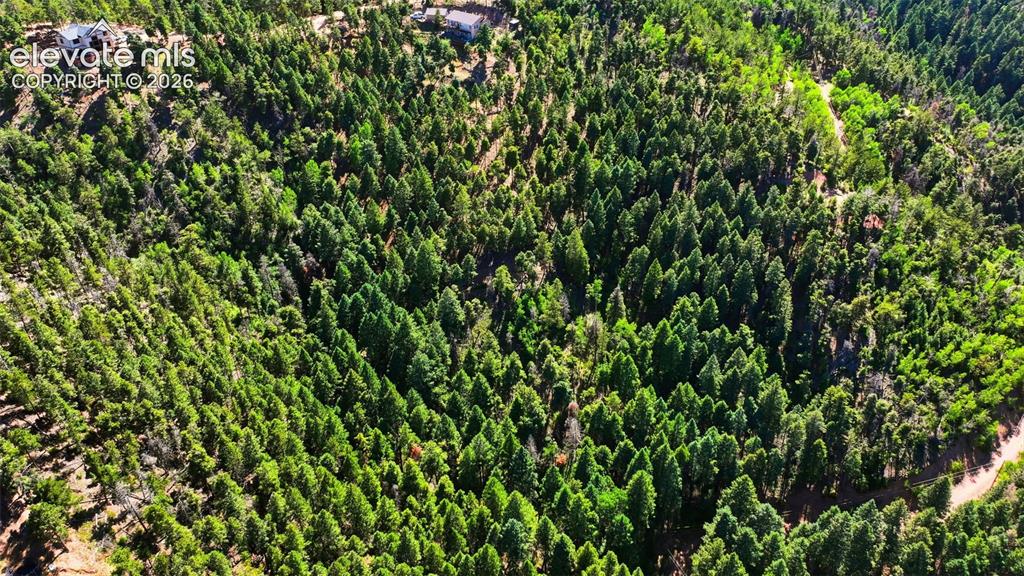 13464 S Firedog Way Larkspur CO 80118