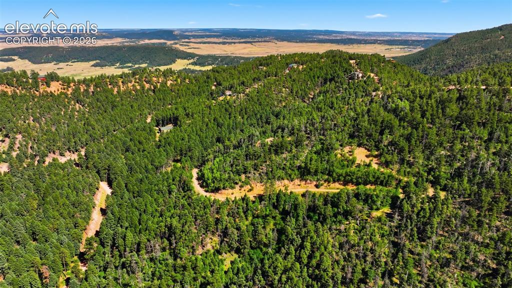 13464 S Firedog Way Larkspur CO 80118