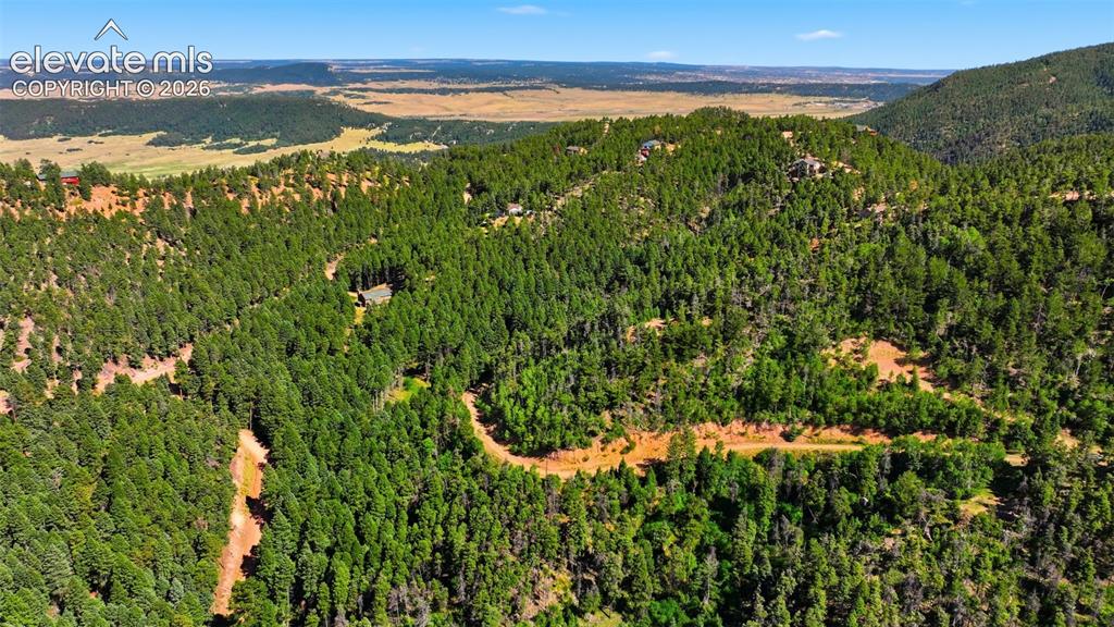13464 S Firedog Way Larkspur CO 80118