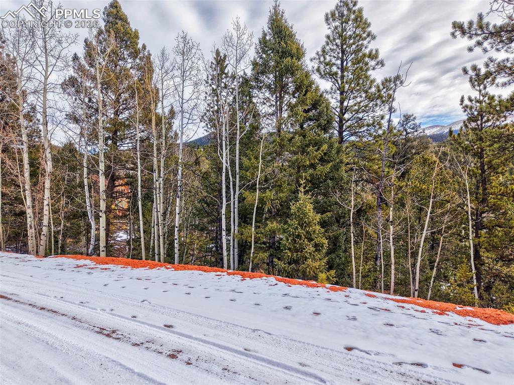 1181 Calcite Drive Divide CO 80814