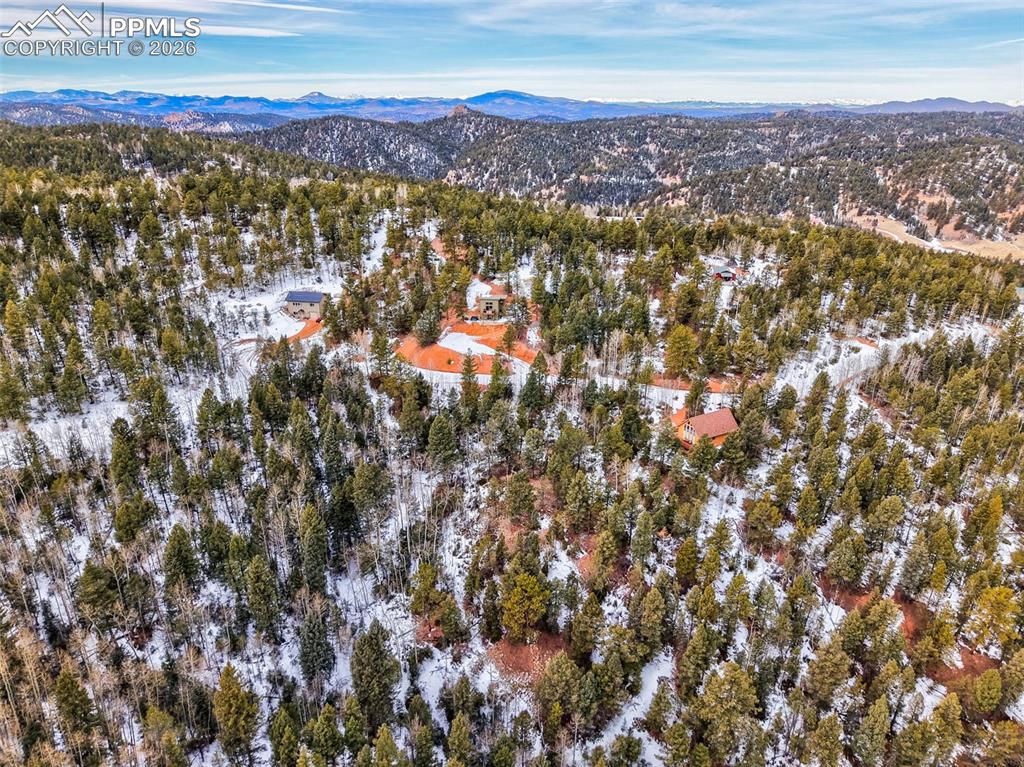 1181 Calcite Drive Divide CO 80814
