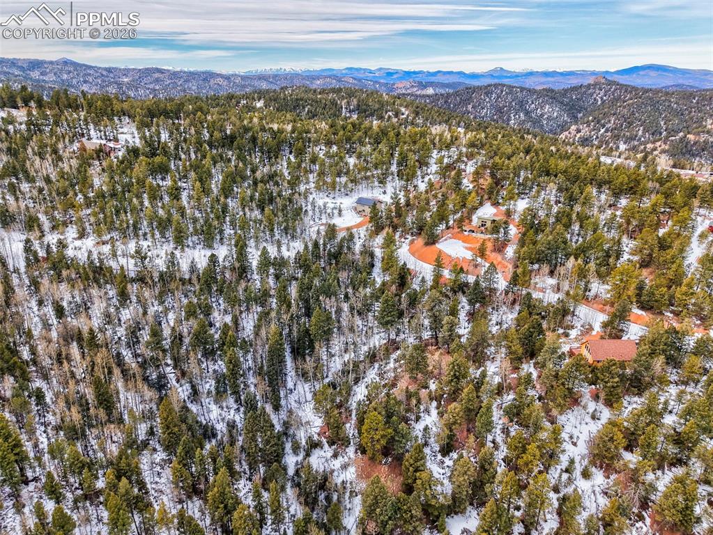 1181 Calcite Drive Divide CO 80814