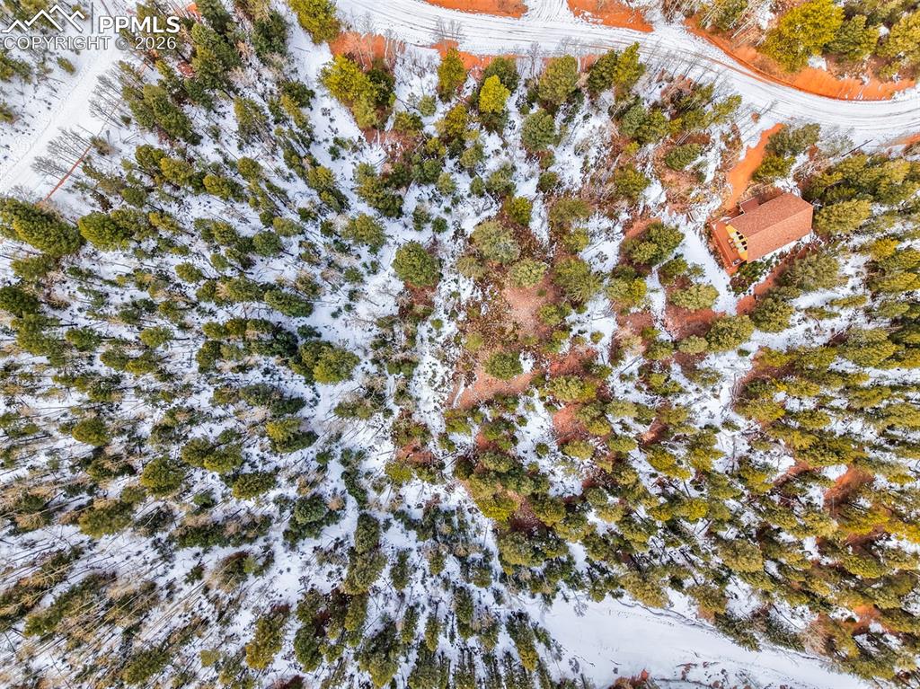 1181 Calcite Drive Divide CO 80814