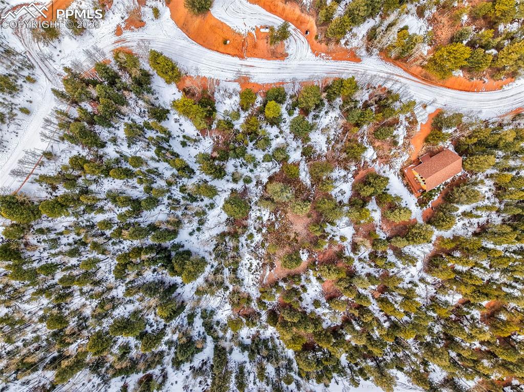 1181 Calcite Drive Divide CO 80814