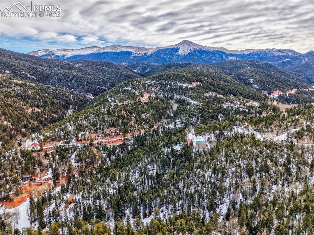 1181 Calcite Drive Divide CO 80814