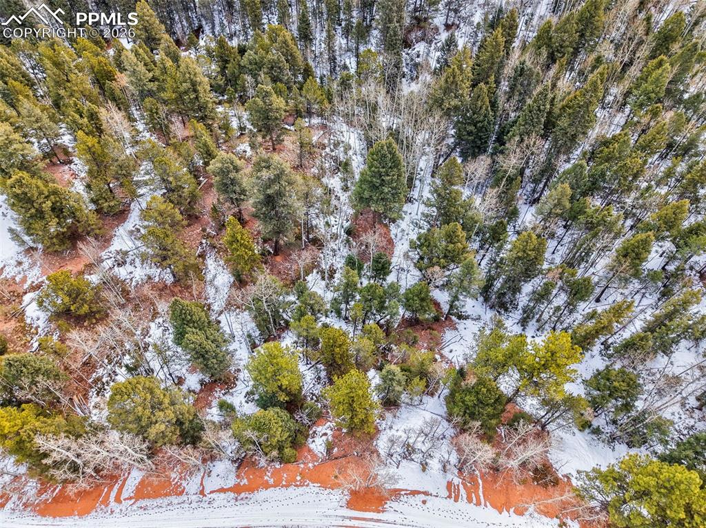 1181 Calcite Drive Divide CO 80814