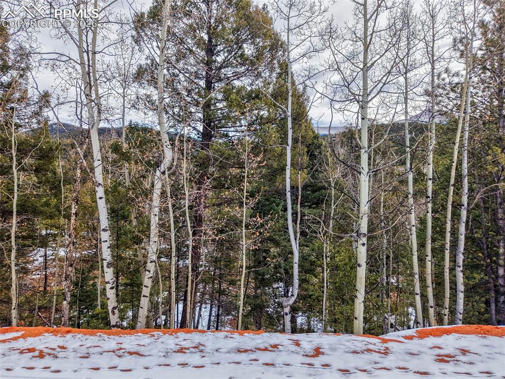 1181 Calcite Drive Divide CO 80814