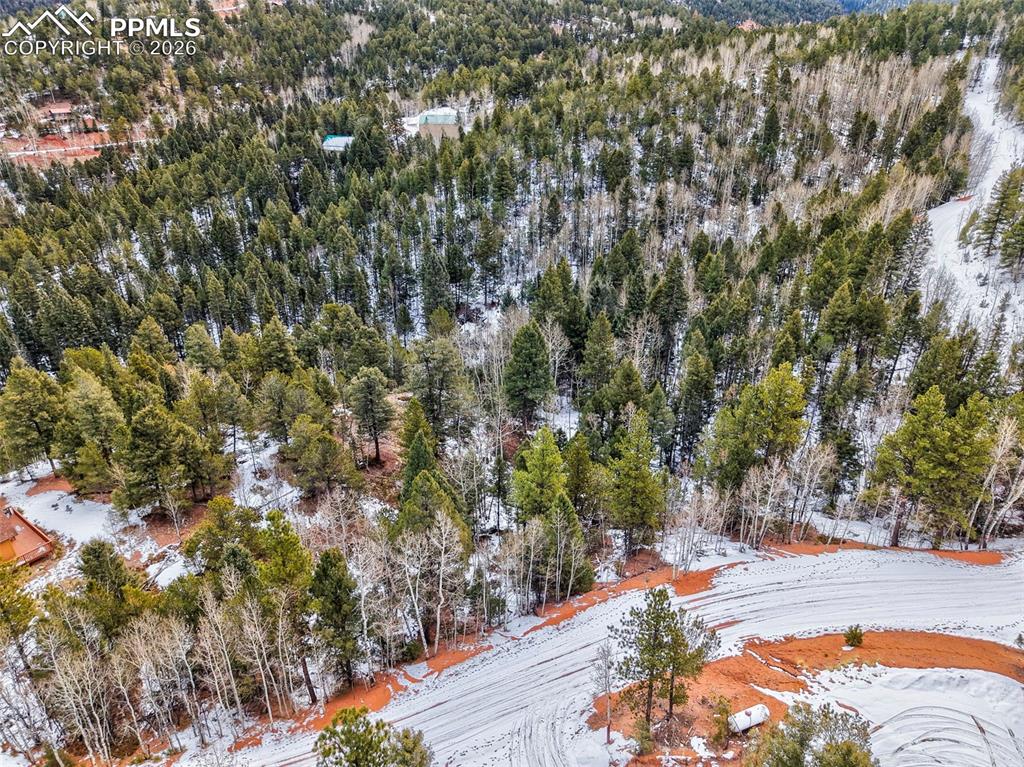 1181 Calcite Drive Divide CO 80814