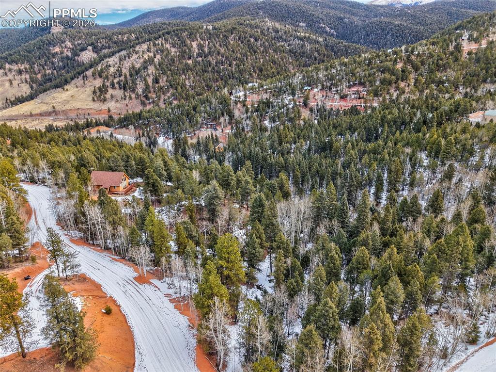 1181 Calcite Drive Divide CO 80814