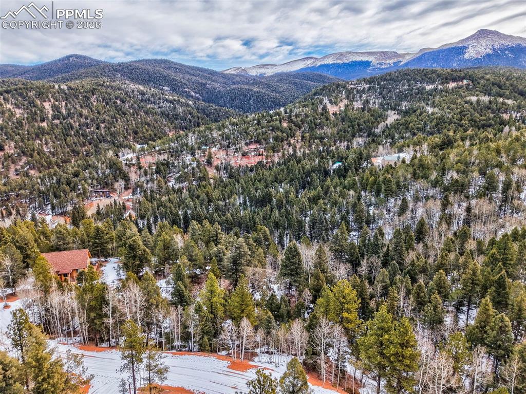1181 Calcite Drive Divide CO 80814