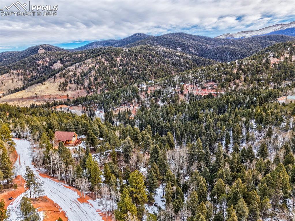 1181 Calcite Drive Divide CO 80814