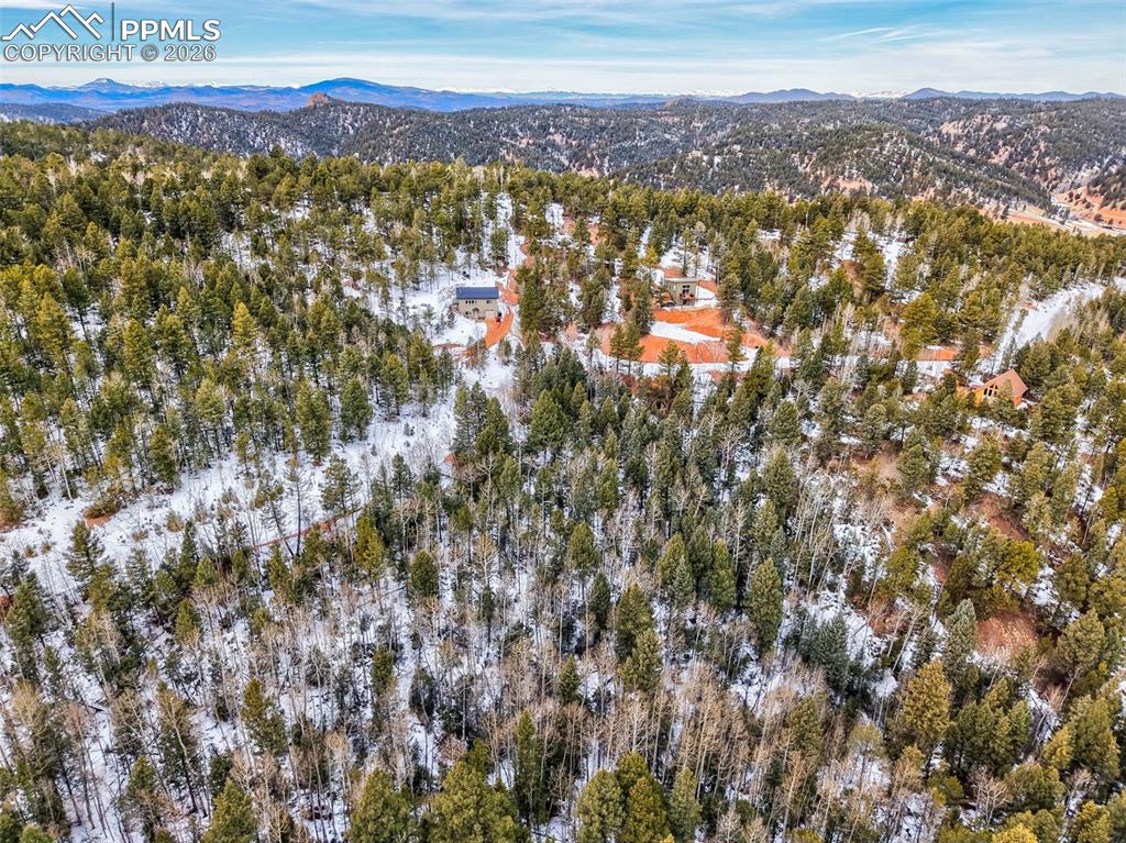 1181 Calcite Drive Divide CO 80814