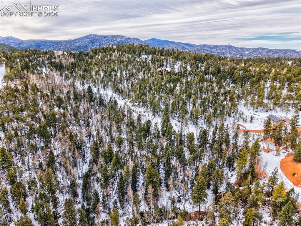 1181 Calcite Drive Divide CO 80814