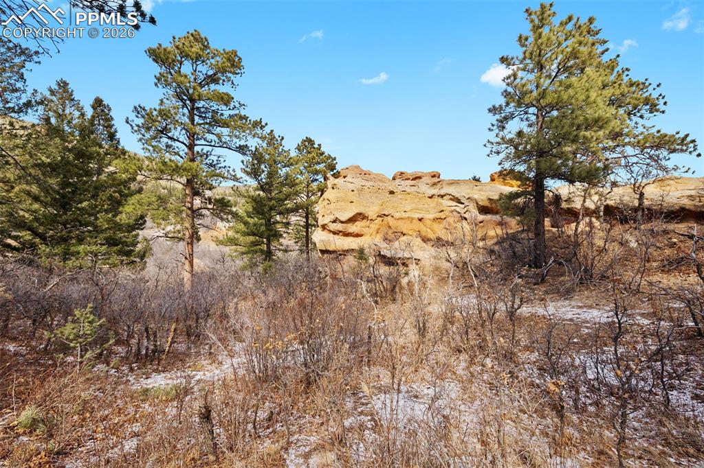 4549 Redstone Ridge Road Monument CO 80132
