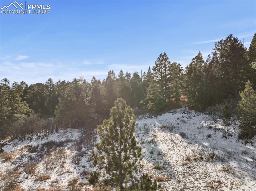 4549 Redstone Ridge Road Monument CO 80132