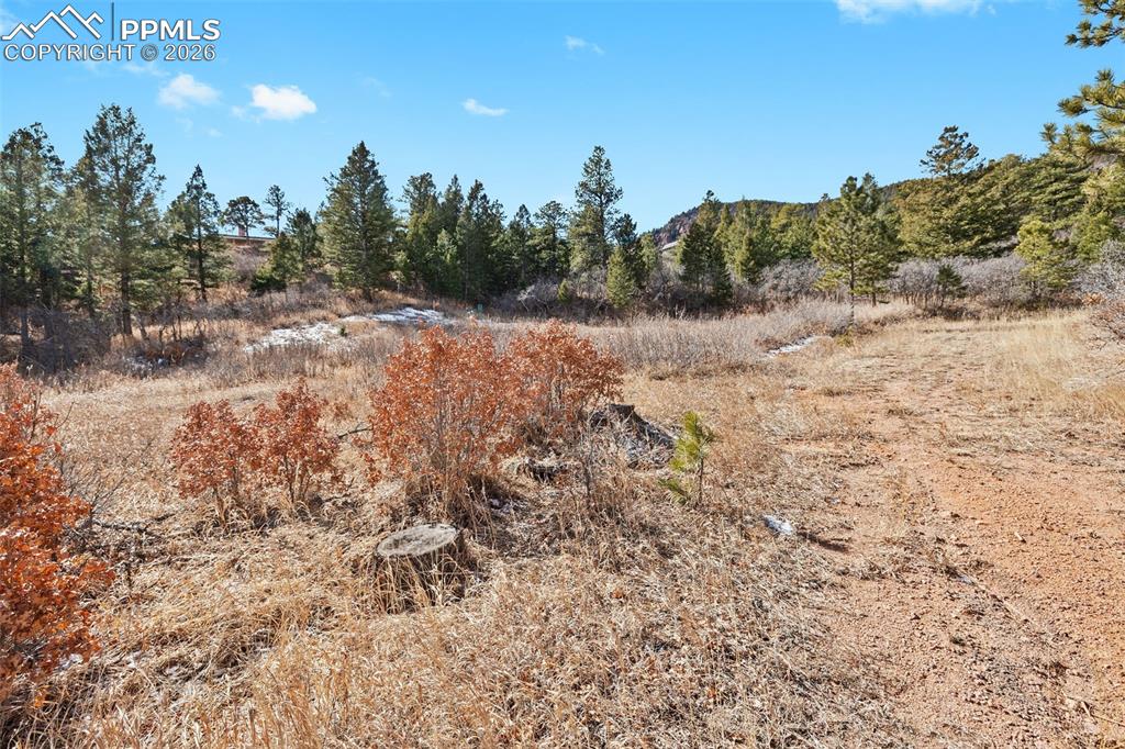 4549 Redstone Ridge Road Monument CO 80132