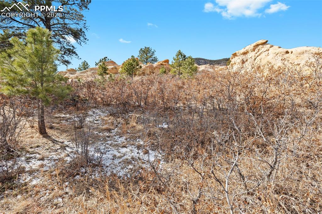 4549 Redstone Ridge Road Monument CO 80132