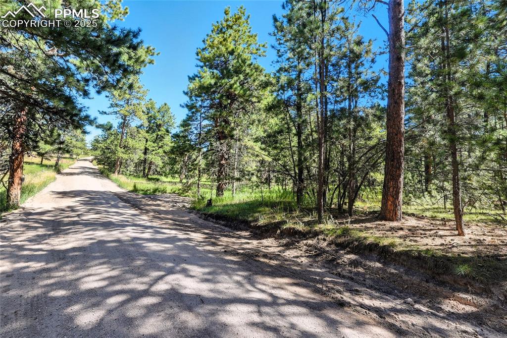 18390 Black Squirrel Road Colorado Springs CO 80908