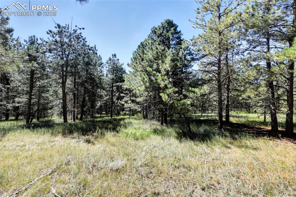 18390 Black Squirrel Road Colorado Springs CO 80908