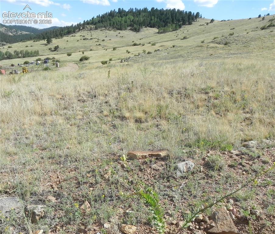 Lot 1-2 Colorado Avenue Cripple Creek CO 80813