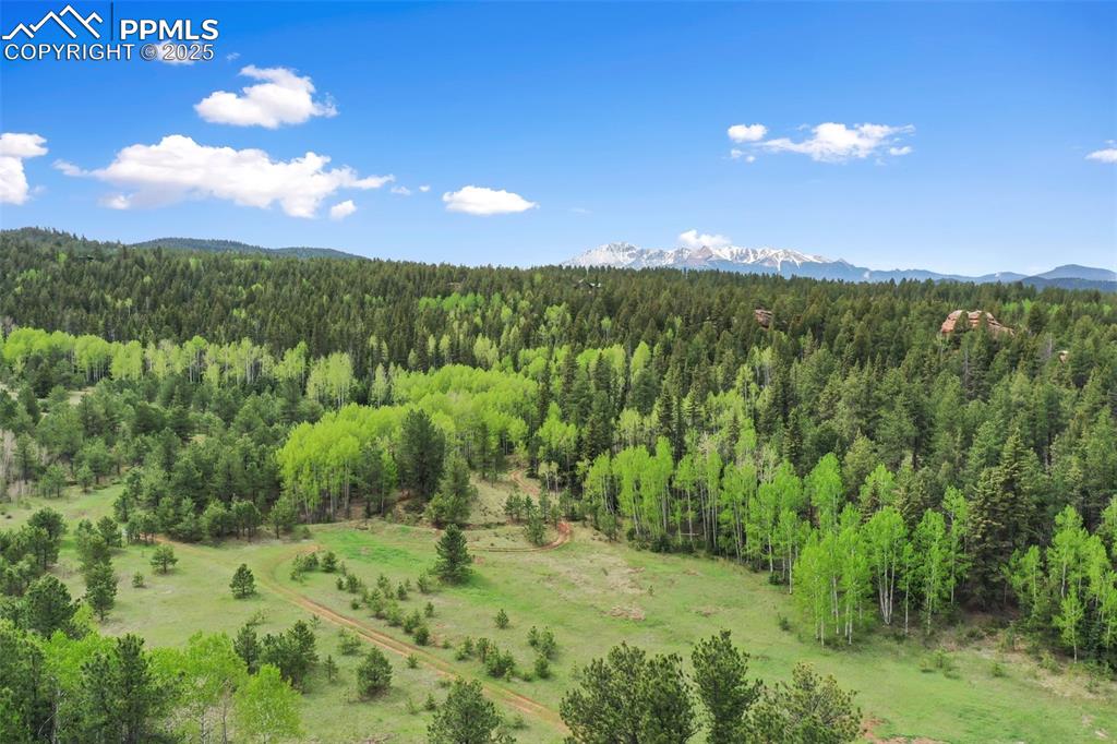 584 Sourdough Road Woodland Park CO 80863