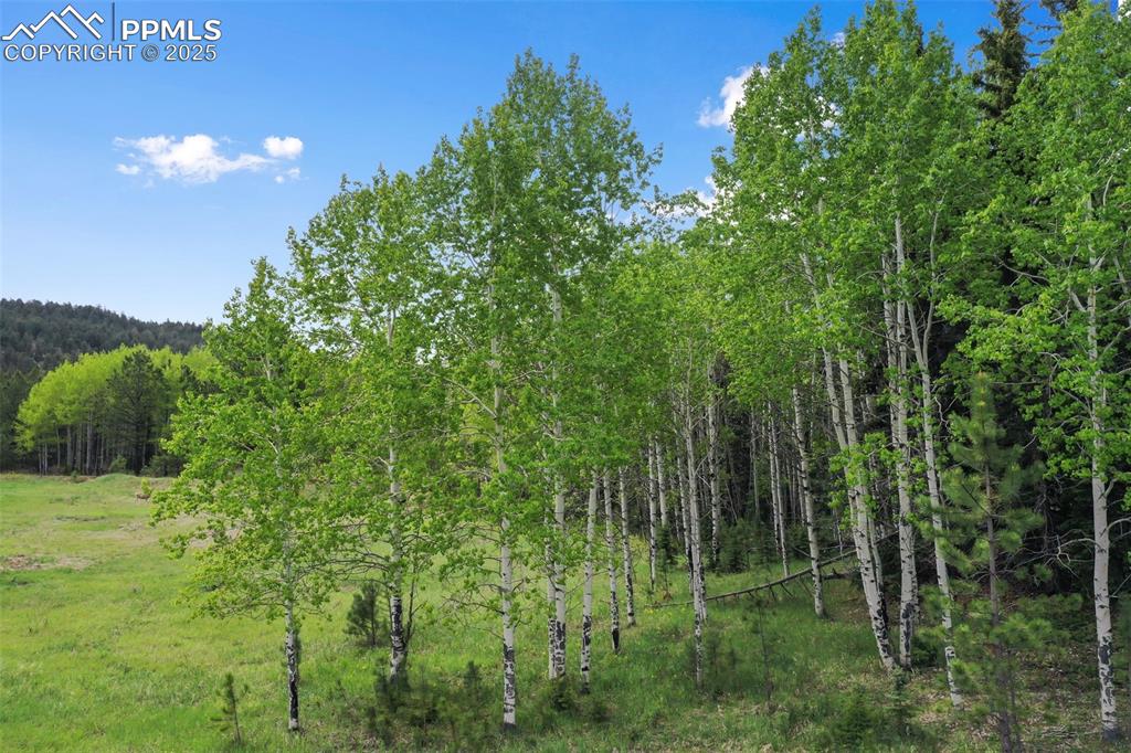 584 Sourdough Road Woodland Park CO 80863