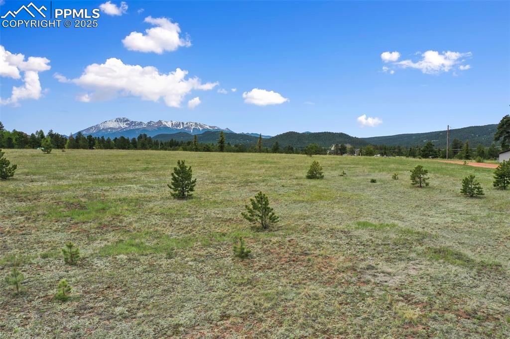 584 Sourdough Road Woodland Park CO 80863